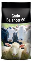 GRAIN BALANCER 60  20kg