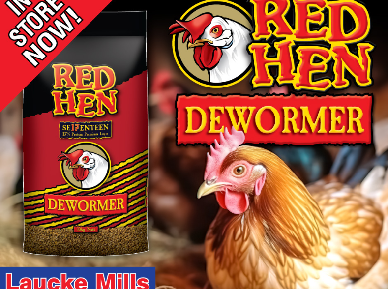 redhendewormer-940X788px-2.jpg