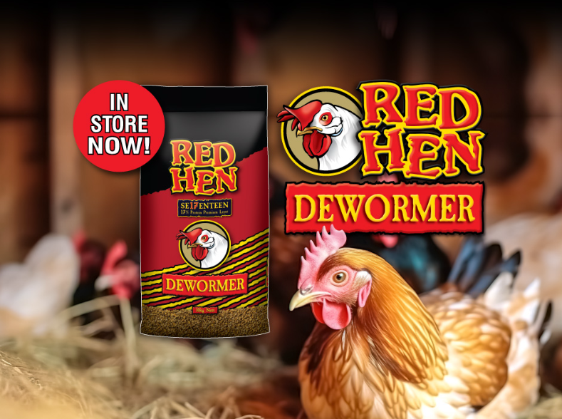 news-red-hen-dewormer.jpg