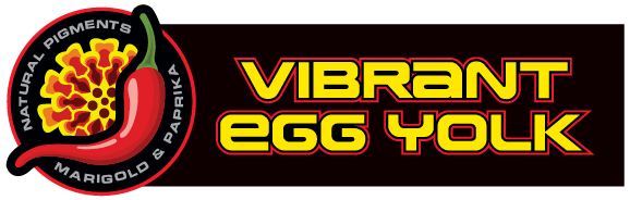vibrant egg yolk