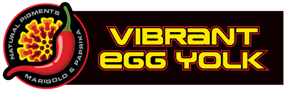 vibrant egg yolk
